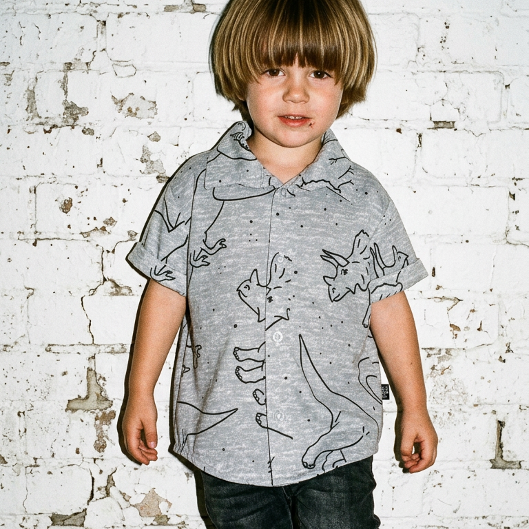 Grey Dino Party Shirt