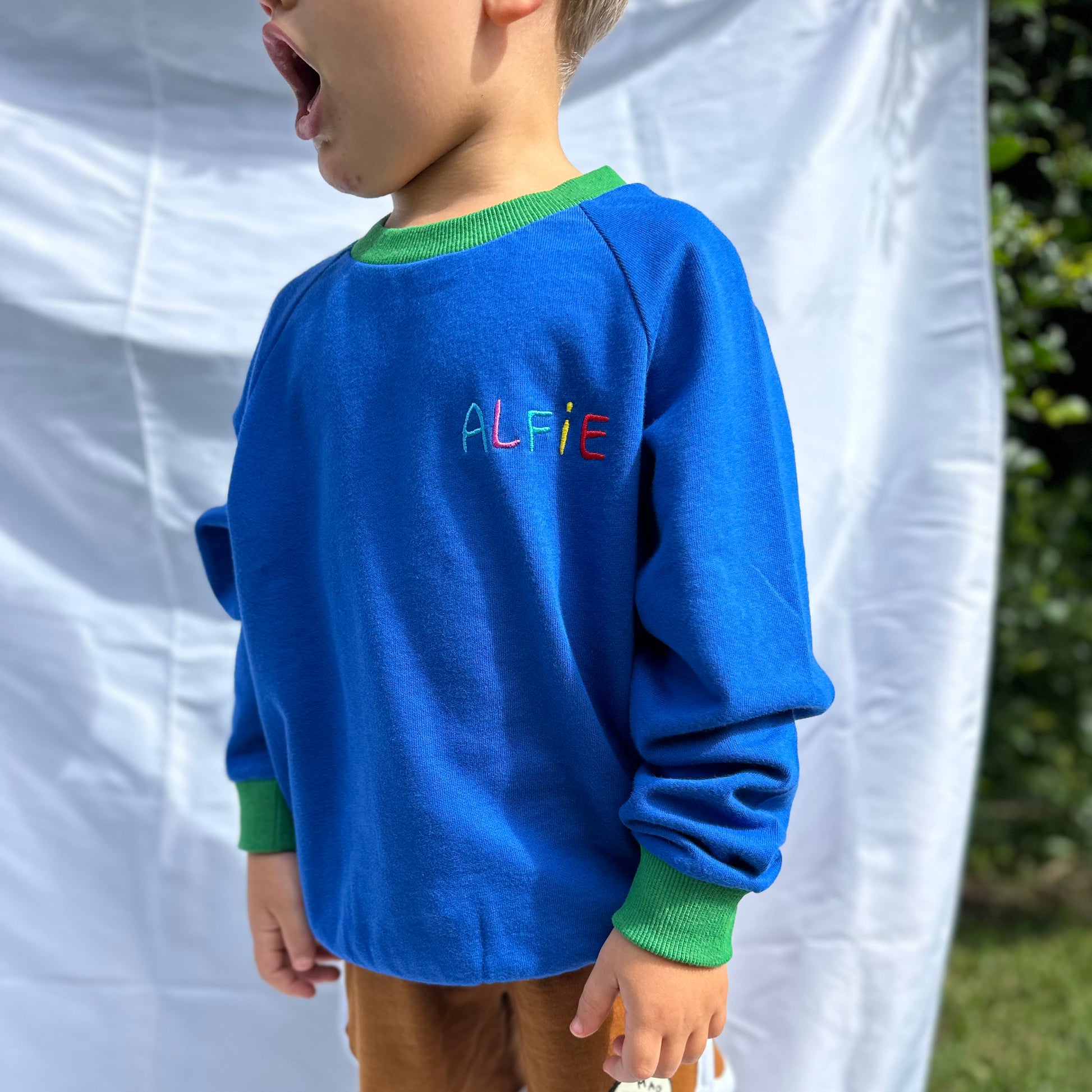 Alfie Blue Bandicoot Jumper French Terry Cotton Red Sweater with Green Trim and Embroidered Logo