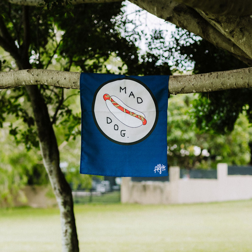 Flags 2 For $20