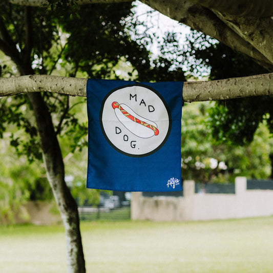 Flags 2 For $20