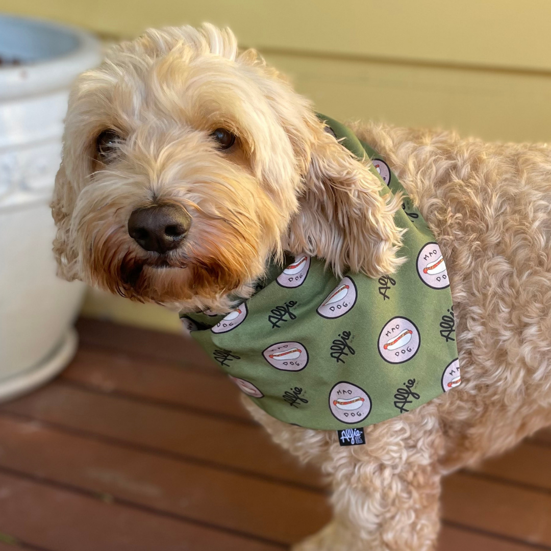 Alfie pet collar online