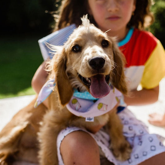 Alfie Pink Fries Dog Bandana