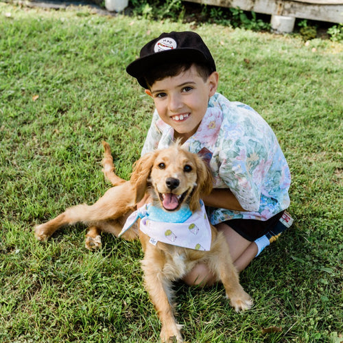 Alfie Pink Fries Dig Bandana